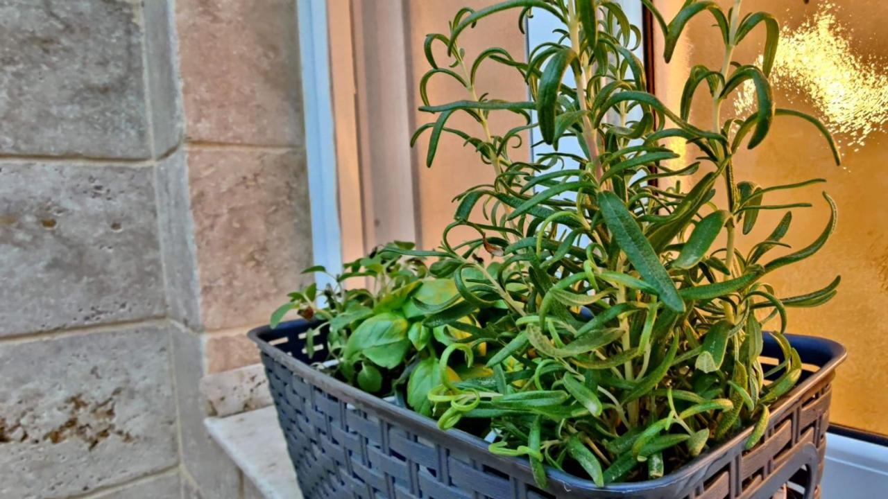 Primrose Boutique Apartment Ashdod Exterior foto